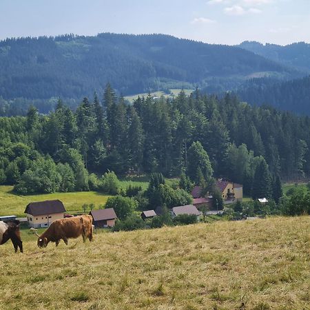 Отель Penzion Na Lukach Горни-Бечва Экстерьер фото