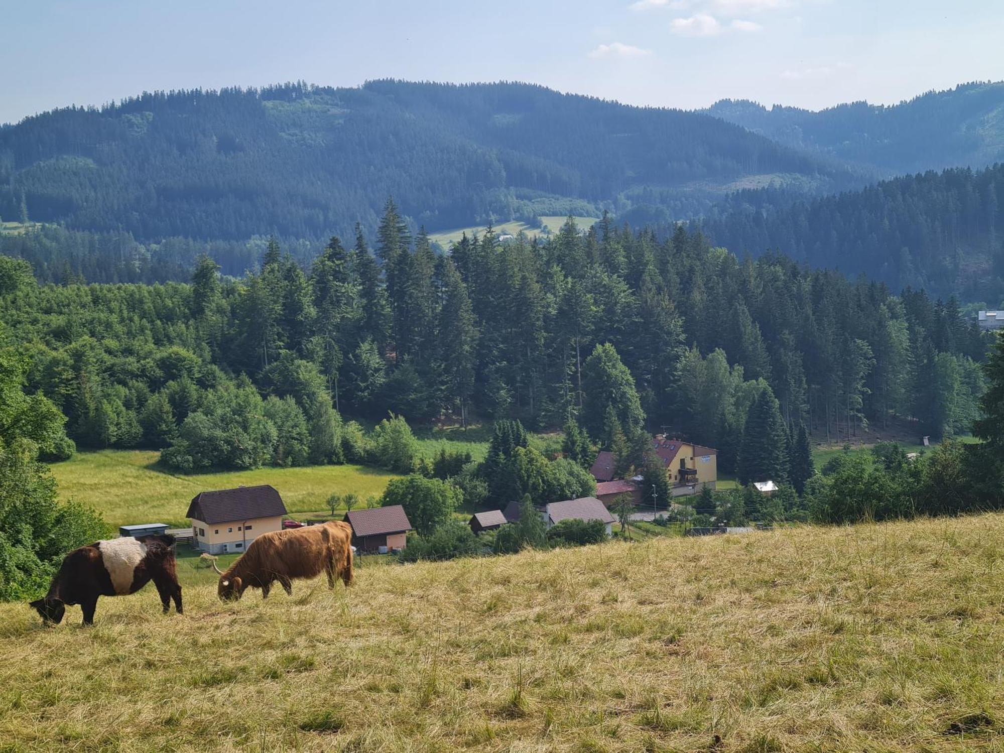 Отель Penzion Na Lukach Горни-Бечва Экстерьер фото